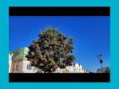#37. #Momentka Víkend na kole okolí Jihlava/Brno