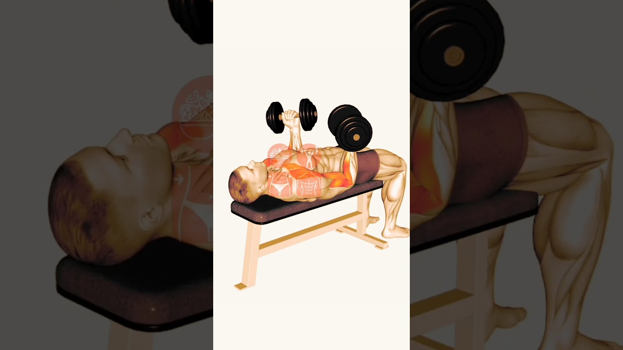 Master the Lying Supine Dumbbell Curl: Ultimate Arm Workout!