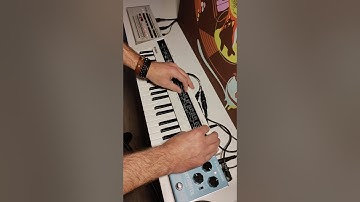 Wilant! - CStabby... (Roland TR-09, Yamaha Reface CS)