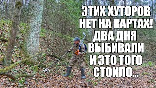 картинка: ДВА ДНЯ ВЫБИВАЛИ ХУТОРА НА КРАЮ ОВРАГА! Поиск золота с металлоискателем / Russian Digger