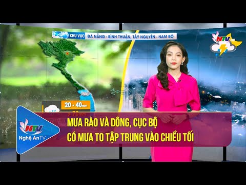 Video Bản tin Dự báo thời tiết đêm 16/09, ngày 17/09/2022 - youtube