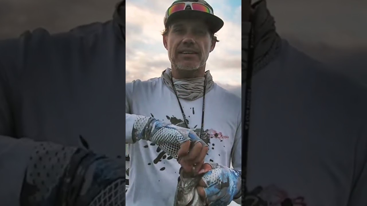 Bass Fishing – 1st Fish on a New Boat! 😁 #shorts #bassfishing #fishing #fishingvideo