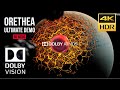 BEST DOLBY ATMOS [4KHDR] "Orethea" DOLBY VISION DEMO - Listen with Headphones