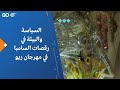 السياسة والبيئة في رقصات السامبا في مهرجان ريو السياسة والبيئة في رقصات السامبا في مهرجان ريو