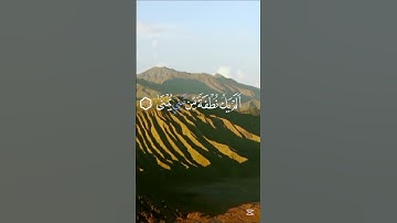 سورة القيامة | ٣٦-٤٠| أحمد النفيس