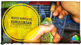 Kuruluk Tedavisinde MUCİZE Kurtuluş