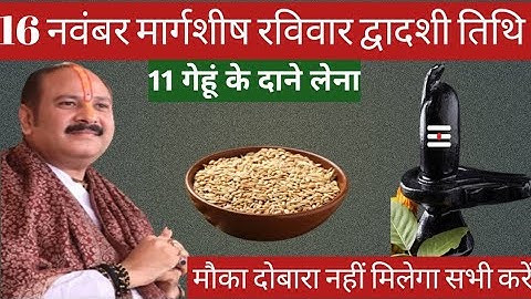 16 नवंबर मार्गशीर्ष रविवार द्वादशी तिथि को 11 गेंहू के दाने वाला उपाय जरुर करे || Pradeep Ji Mishra 