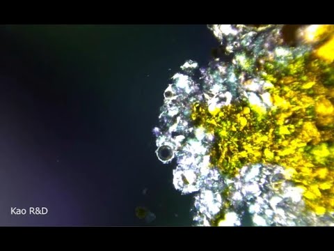 花王  【特集 泡】 汚れを味方につける洗浄剤 その1 - 花王  【特集 泡】 汚れを味方につける洗浄剤 その1