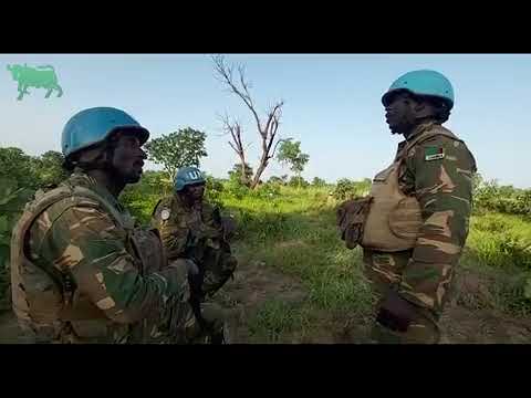 Heroic Zambian troops on a peace keeping mission in CAR rescue a village from armed rebels