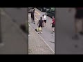 Cipelarili muškarca na ulici u Ljubljani, on ustao, uzeo pištolj i počeo da puca (VIDEO)