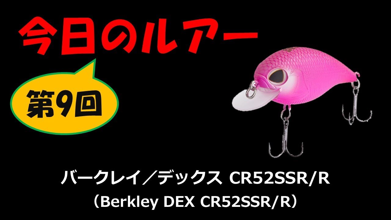 デックス クランクベイト スーパーシャローランナー ラトルイン 使い方