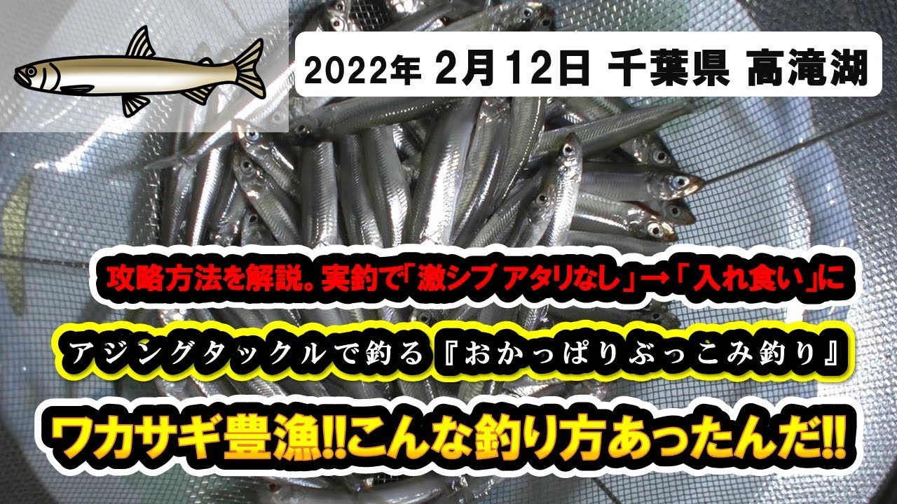 千葉県 高滝湖 陸からのぶっこみ釣りでワカサギ大漁 おかっぱりでもこんなに釣れます アジングタックルで釣るワカサギ アタリがない時の釣り方説明 Youtube