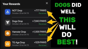 Start mining this new AIRDROP on the TON BLOCKCHAIN | PAWS AIRDROP