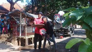  Ngamen Aktrasi Kuda Lumping Makan Beling U0026 Padi