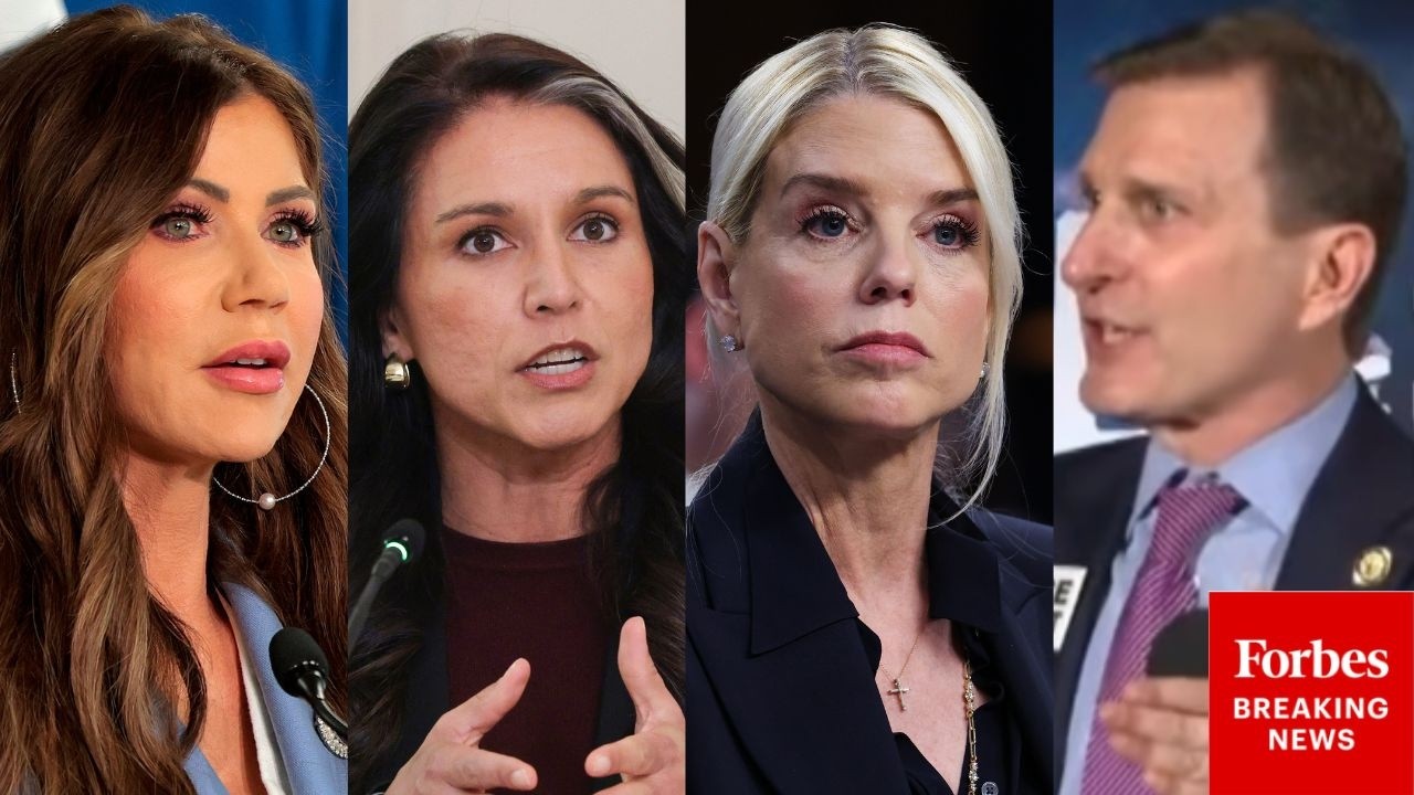 'The Three Stooges': Dan Goldman Trashes Noem, Bondi, And Gabbard