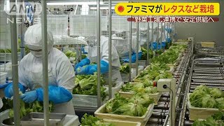ファミマが野菜を栽培　植物工場と連携し安定供給へ(2020年8月31日)