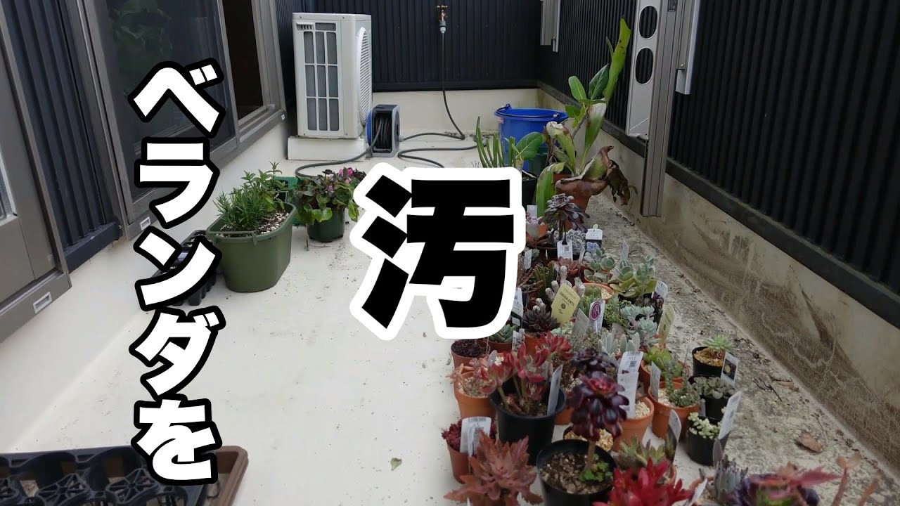 ベランダガーデンを全部Amazonで買ってやる　【園芸超人カーメン君】