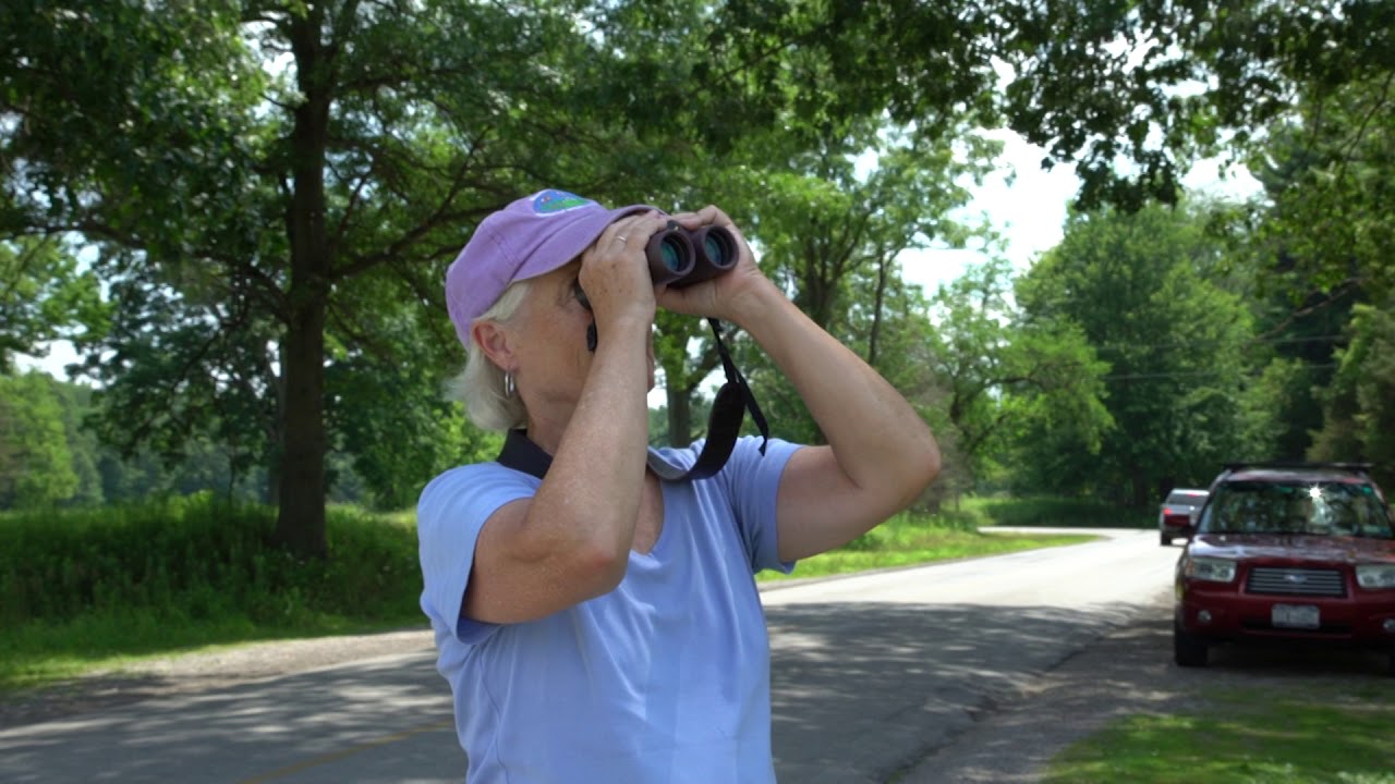 Summer in Ohio: Toledo Metroparks