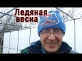 Неправильная весна в Анапе нынче! Но, несмотря на ледяной ветер вместо цветения, мы верим в лучшее!