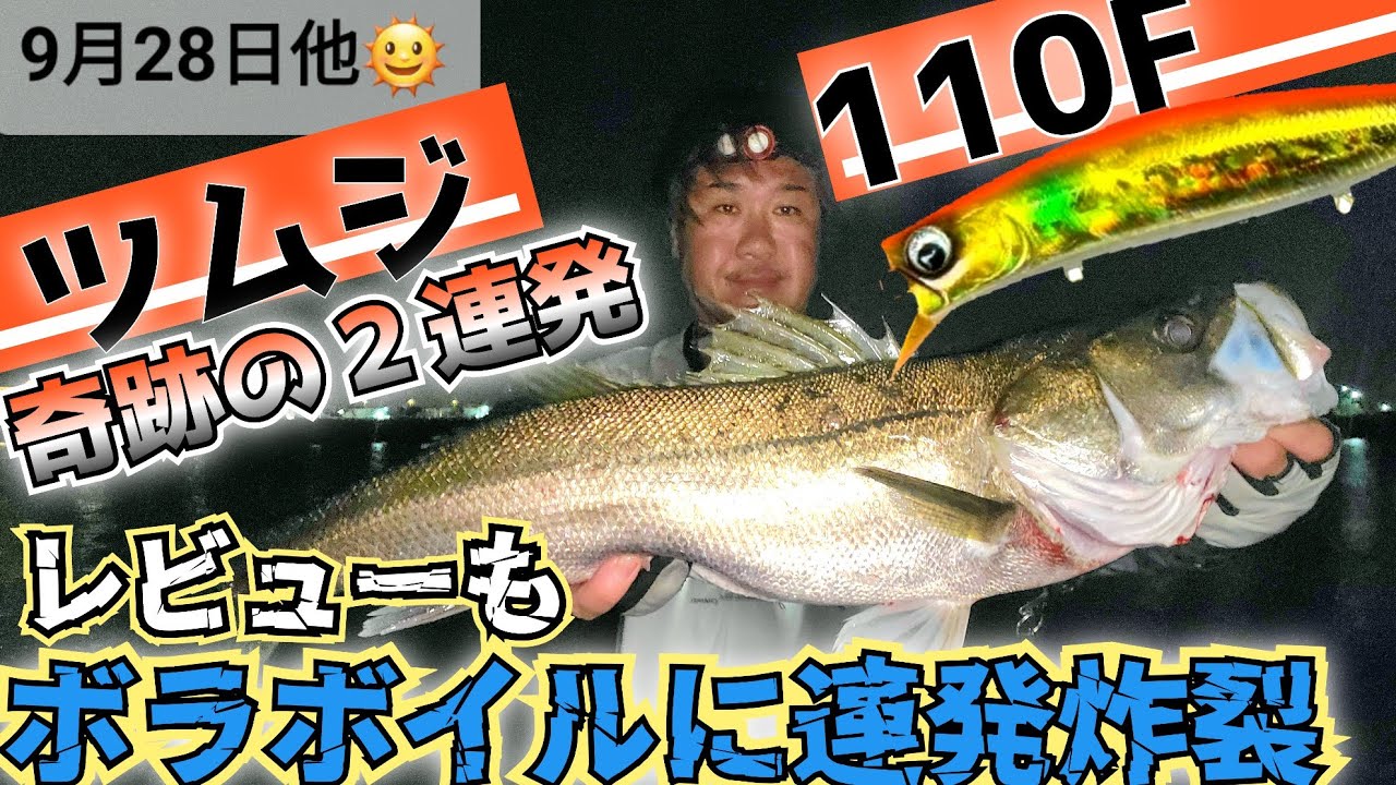 Exploding on the bollworm] Two fish in two casts after opening