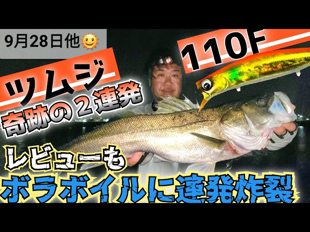 Exploding on the bollworm] Two fish in two casts after opening
