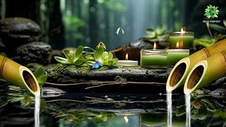 Relaxing Music 24\/7, Stress Relief Music, Meditation, Spa, Sleep, Zen, Calming Music, Study, Yoga