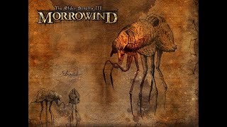 Installing and setting up OpenMW screenshot 5