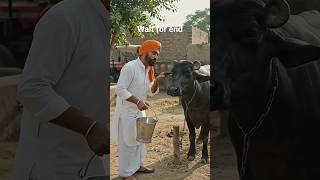 punjabi π€£π€£π€£π€£π€£π€£π€£π€£π€£π€£π€£π€£ #comedy #funny #trending #punjabisong #trendingshorts #viral #love #entertain punjabi π€£π€£π€£π€£π€£π€£π€£π€£π€£π€£π€£π€£ #comedy #funny #trending #punjabisong #trendingshorts #viral #love #entertain
