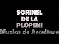 SORINEL DE LA PLOPENI    MUZICA DE ASCULTARE HORE SI SARBE DE ASCULTARE