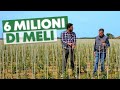 Il piÃ¹ GRANDE vivaio D'EUROPA