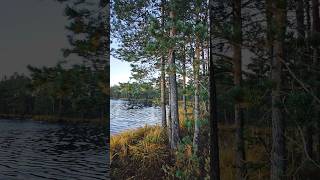 озеро Космачёвское, толочинский р-н, Беларусь
