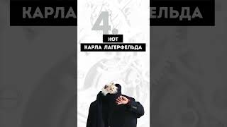 ЧАСОВАЯ ВИКТОРИНА WATCHLIFE