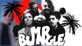 Reviewing Mr Bungles California - 25 Years Later