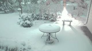 Snowfall Time-Lapse