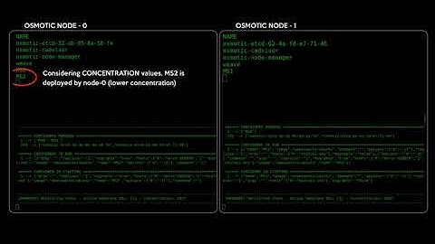 Osmotic Computing: MicroServices Management - First Demo