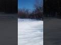 Southern Indiana blizzard beauty.
