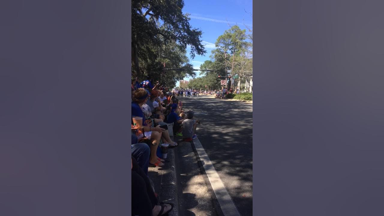 Gator parade lets go gators! YouTube