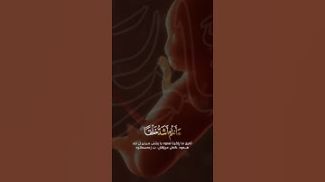 رعد الكردي - سورة النازعات ( تەفسیرا بادینی )