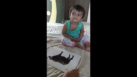 MAXIMUM FLASH CARDS IDENTIFIED BY A TODDLER