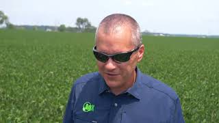 R4–R5 Soybeans: Why Late-Season Potassium Drives Heavier Bushels