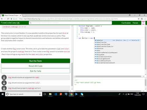 Object Oriented Programming: Extend Constructors to Receive Arguments