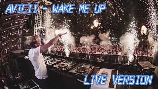 Avicii - Wake Me Up (Live Ver