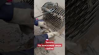 Thumbnail for Все дно озера в золоте