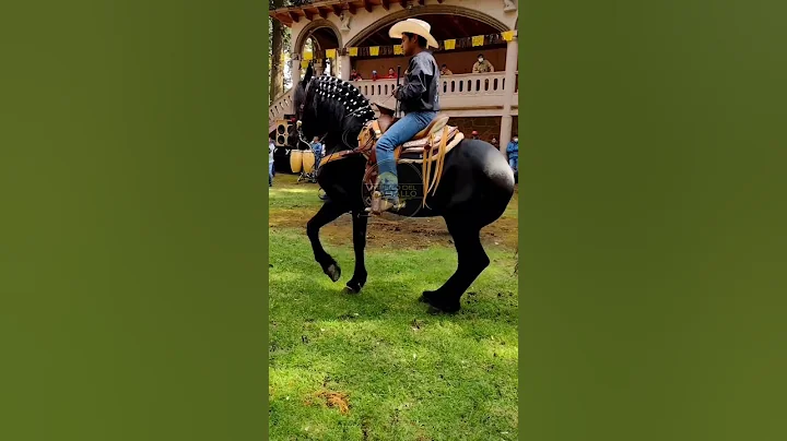 Aah cuaco bueno mi compa Alonso Hinojosa  Xalatlac...
