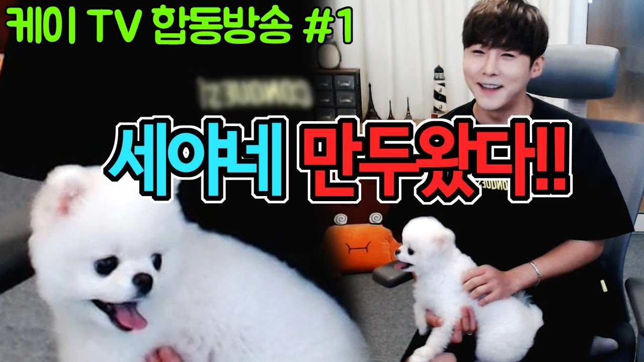 세야가 만두를 데리고왔다!! 케이식 운영?? 해명해라(feat.세야)[18.06.05]