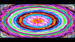Never Will Be - Bassnectar
