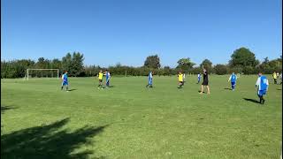 Chelford B Vets