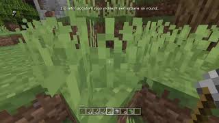 Minecraft Legacy CE - All Mob Heads Speedrun in 3:27.374 (Minigames Lobby)