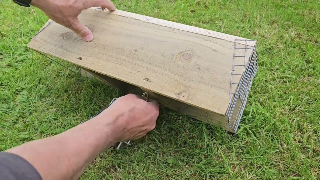 The Fourteenacre standard Fenn Trap tunnel.