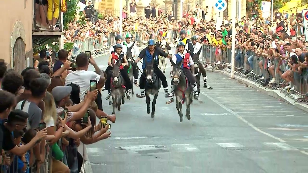 Corsa degli Asini - Gonfalone 2023